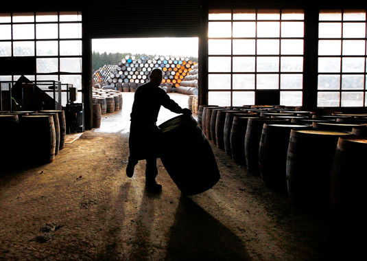 Skills and Inclusion