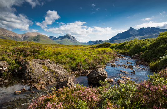 Commitment to Responsible Peat Use