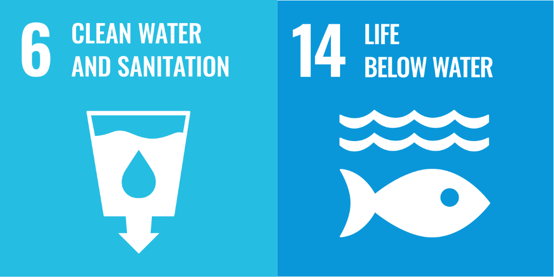 UN Sdgs Water Use