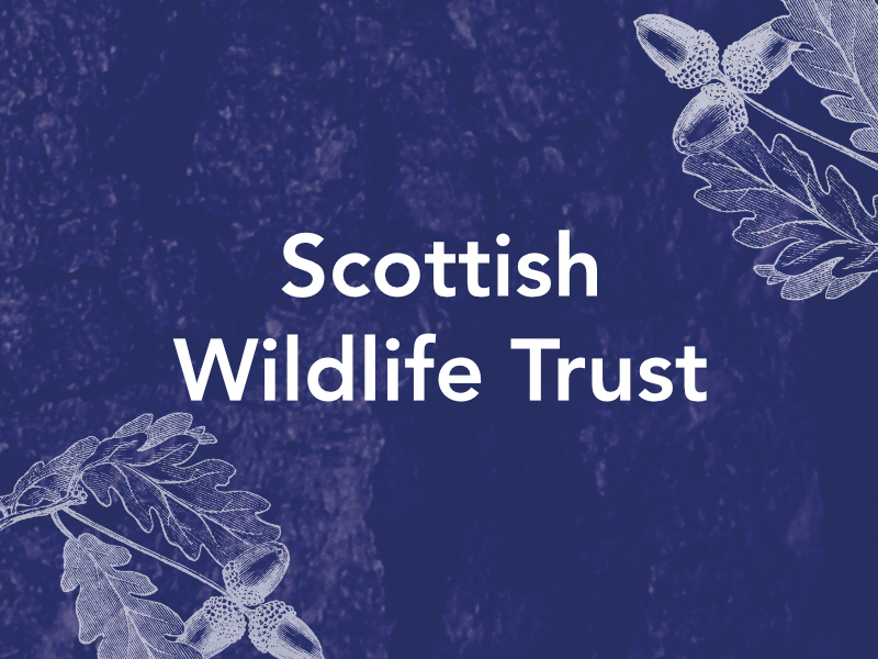Case Study Image Scottish Wildlife Trust