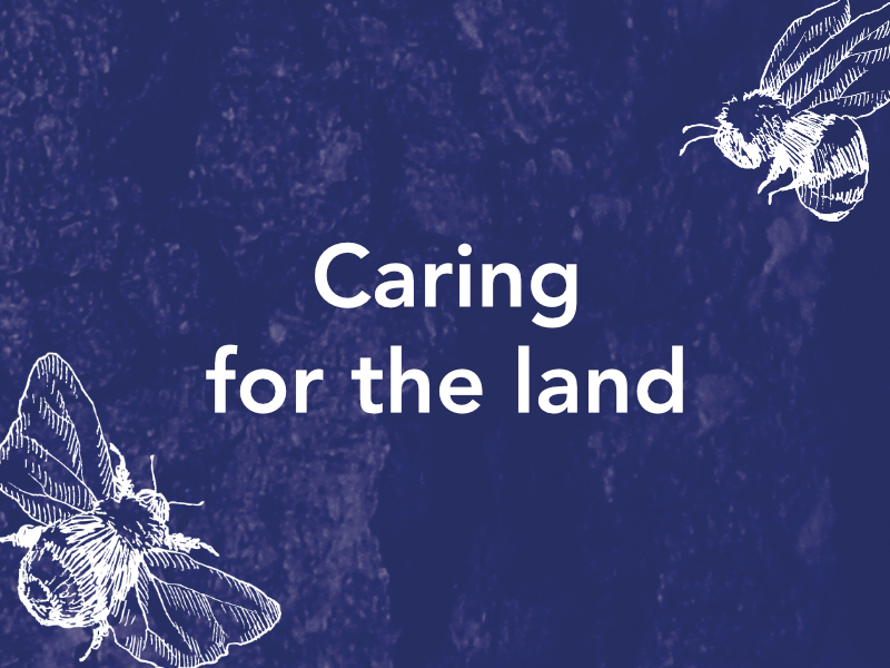 Caring For The Land