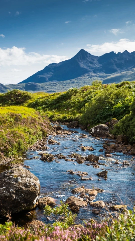 Sustainable Scotch 1