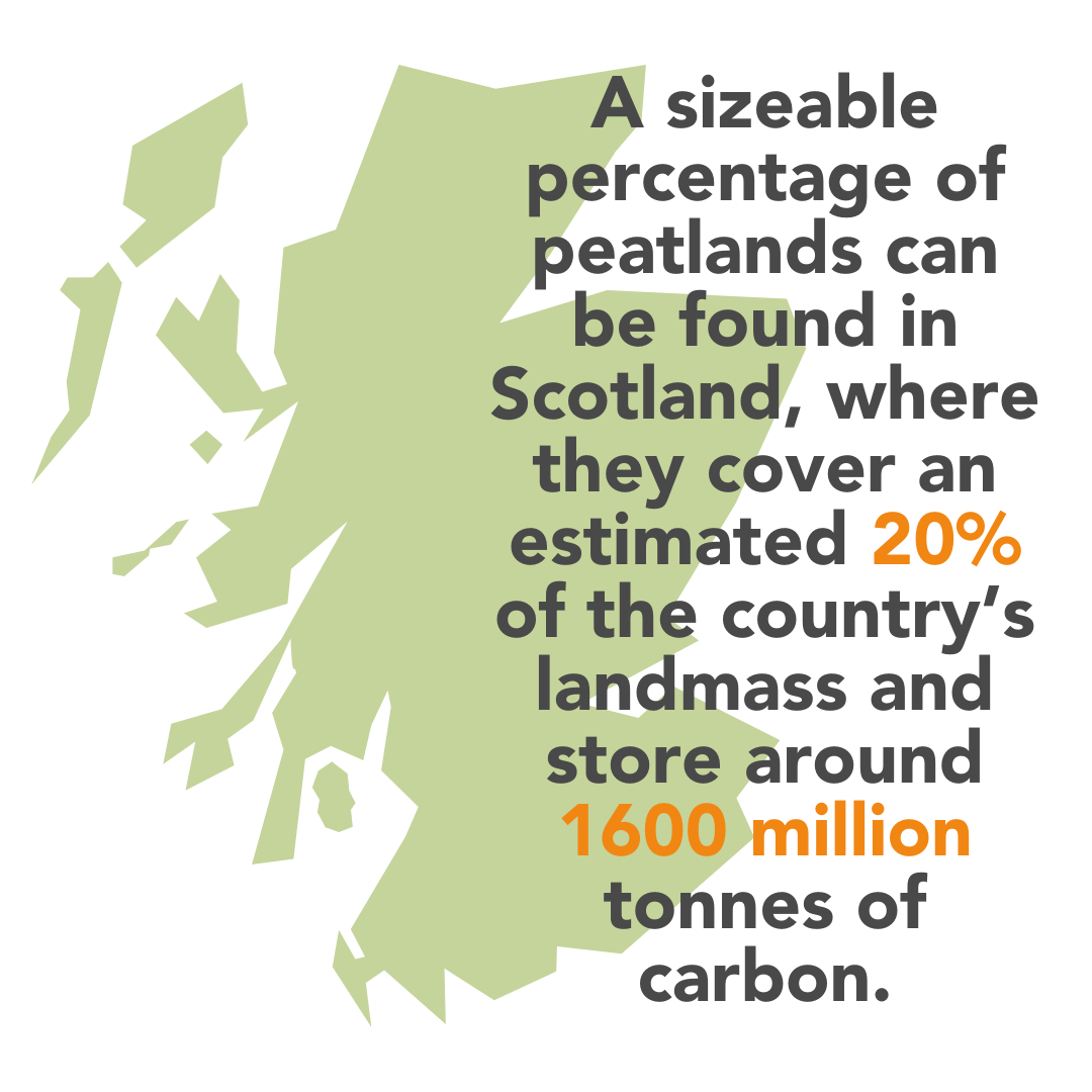Copy Peat Around The World