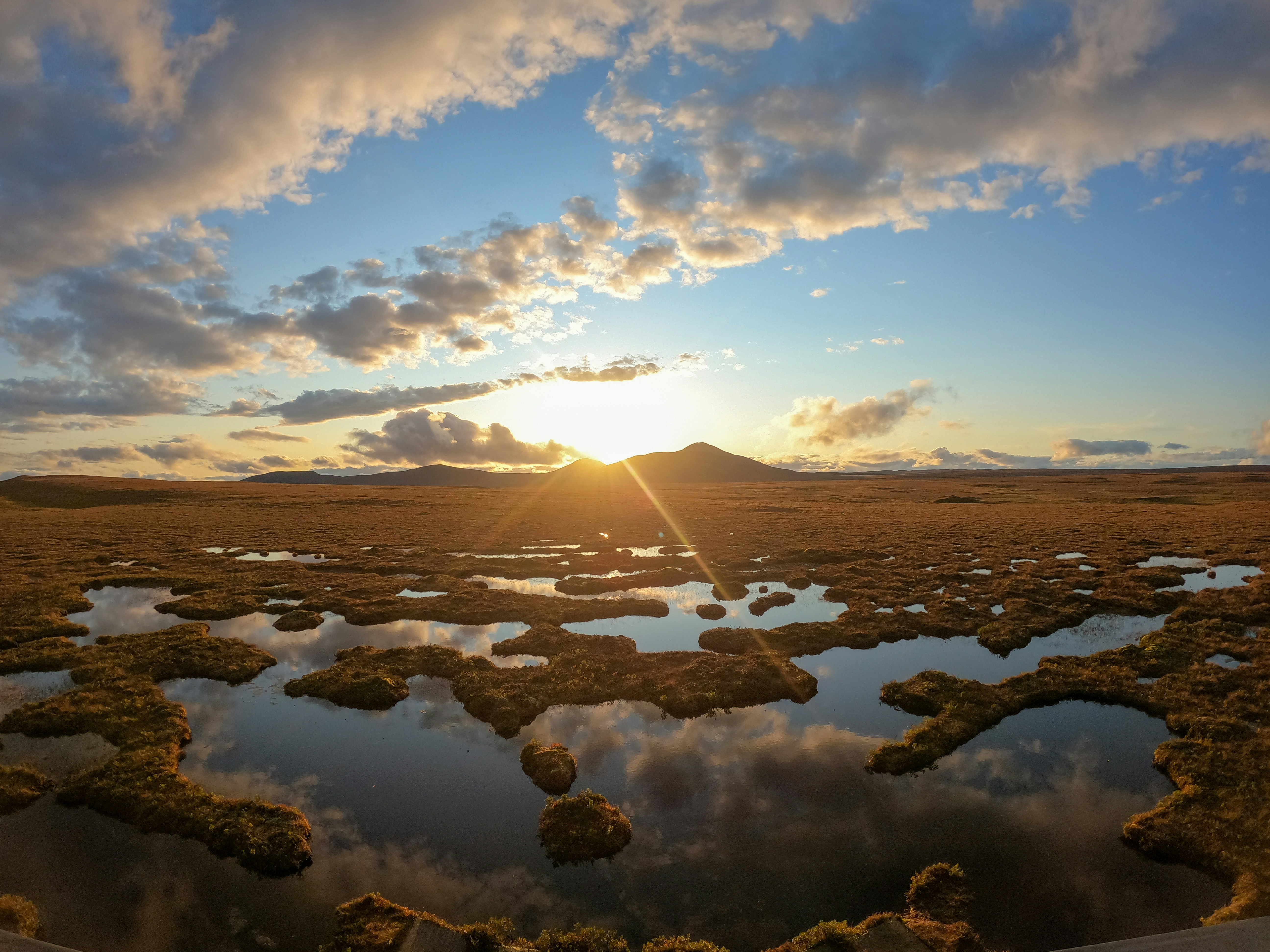Peatland Unsplash